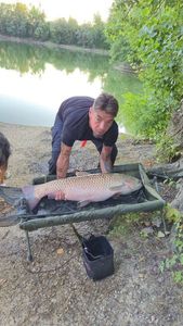 Silver Carp