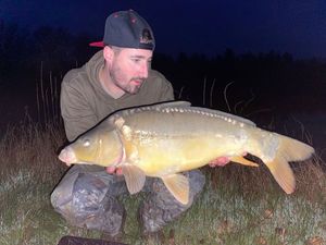Sturgeon