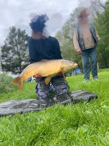 Mirror Carp