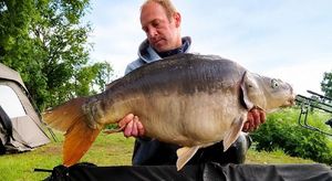 Mirror Carp