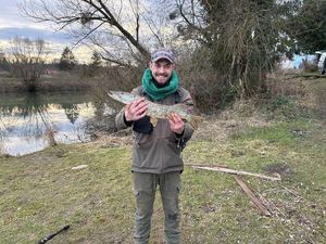 Northern Pike