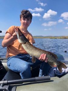 Northern Pike