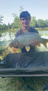 Common Carp