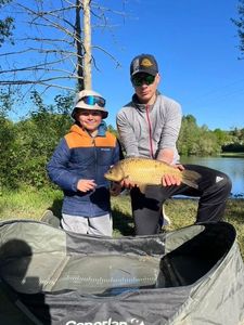Common Carp