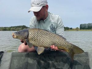 Common Carp