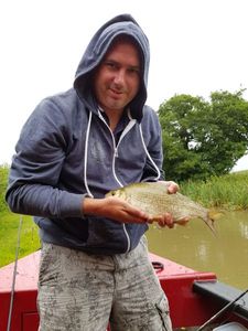 Common Bream