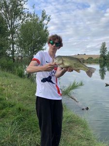 Largemouth Bass