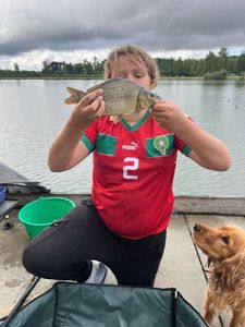 Prussian Carp