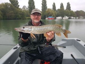 Northern Pike