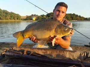 Mirror Carp