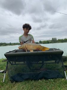 Mirror Carp