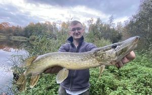 Northern Pike