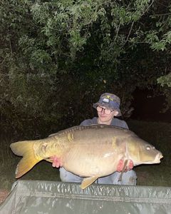 Mirror Carp