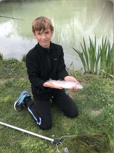 Rainbow Trout
