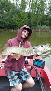 Northern Pike