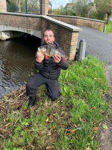 European Perch