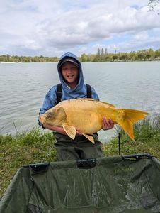 Mirror Carp