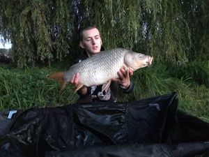 Common Carp
