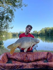 Mirror Carp