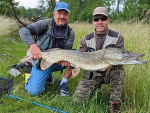 Northern Pike