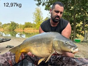 Mirror Carp