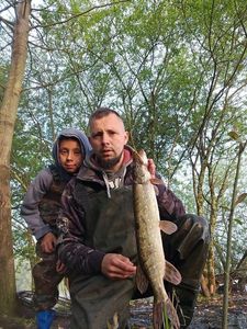 Northern Pike