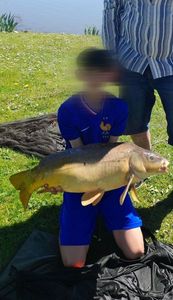 Mirror Carp