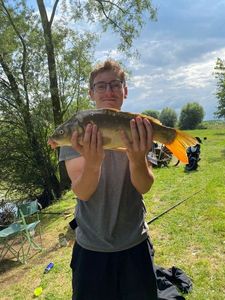 Mirror Carp