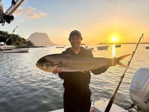 Dolphinfish