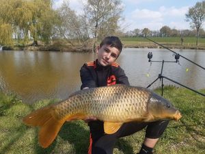Common Carp