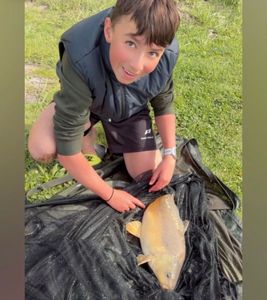Mirror Carp