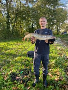 Northern Pike
