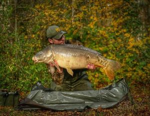 Mirror Carp