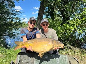 Mirror Carp