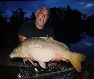 Mirror Carp