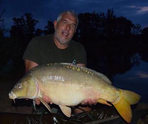 Mirror Carp