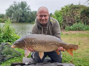 Common Carp