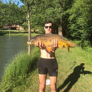 Mirror Carp