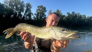Northern Pike