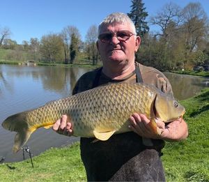 Common Carp
