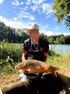 Common Carp