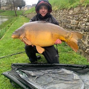 Mirror Carp