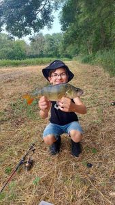 European Perch