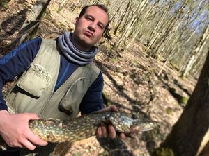 Northern Pike