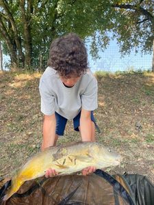 Mirror Carp