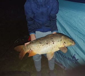 Leather Carp
