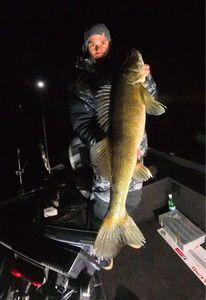 Zander