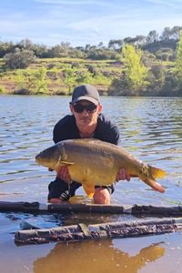 Mirror Carp