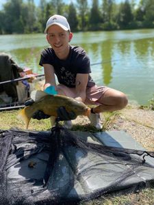 Tench