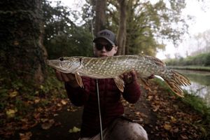 Northern Pike